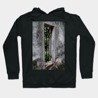 Wall With a View Hoodie